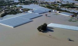 Antalya Kaş'ta seralar sular altında kaldı