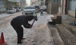 Ardahan'da dondurucu soğuk ağaçları kırağıyla kapladı