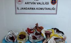 Artvin'de 60 kilo yaban domuzu eti ele geçirildi