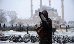 Balkanlardan gelen soğuk hava Edirne'yi beyaza bürüdü