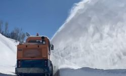 Bitlis'te karla mücadele çalışmaları devam ediyor