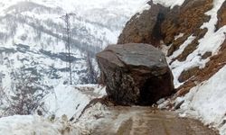 Bitlis'te yağış sonrası 6 farklı noktada heyelan meydana geldi