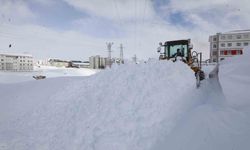 Bitlis'te yoğun karla mücadele çalışması