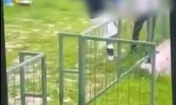 Bodrum'da akran zorbalığı: Çocuğu feci şekilde darbederek bayılttı