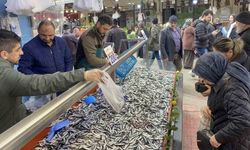 Bolu'da hamsi bolluğu sürüyor: Kilosu 200 liradan rağbet gördü