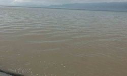 Burhaniye'de sağanak yolları göle çevirirken denizi bulandırdı