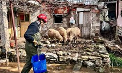 Büyükşehir ekipleri tüm canlılar için aynı özveriyle çalışıyor