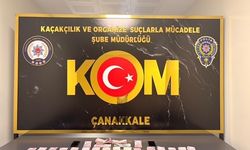 Çanakkale'de tefecilik, yağma ve kaçakçılık operasyonuna 2 tutuklama