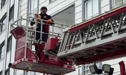 Çatıda mahsur kalan kedi kurtarıldı