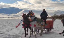 Çıldır Gölü üzerinde atlı gezi ve halay keyfi