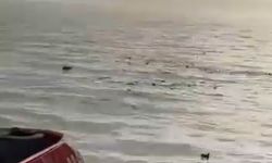 Denizi şehir çöplüğüne çevirdiler