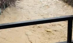 Develi'de aşırı yağış sele neden oldu, bazı ev ve ahırları su bastı