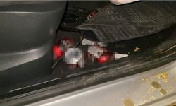 Direğe çarpan otomobildeki 4 kişi yaralandı: Araçtan alkol kutuları çıktı