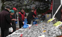 Edirne'de hamsinin kilosu 50 liraya düştü, tezgahlar şenlendi