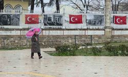 Edirne'de kar yağışı yeniden başladı
