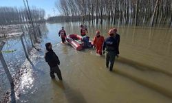 Edirne'de koyunlar botlarla kurtarıldı