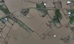 Edirne'de tarım arazileri ve yerleşim yerleri sular altında kaldı