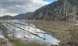 Elmanın başkenti Eğirdir'de yağış bereketi bahçeleri göle çevirdi