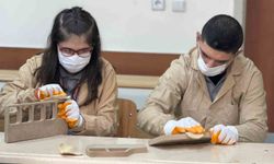 Engelleri ahşapla aşıyorlar: Siverek'te öğrencilerden sanata dokunuş