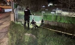 Eyüpsultan'da bir kişi yol kenarında ölü bulundu