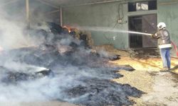 Harada çıkan yangında 70 balya saman yandı