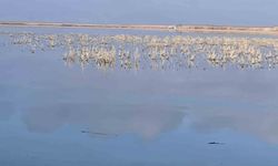 Her damlanın Eber Gölü'ne ulaşması için topyekun mücadele