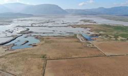 İzmir'de rekor yağışlar barajlara can suyu oldu