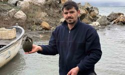 İznik Gölü'nde balıkçıların ağına küp takıldı