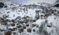 Karlar altındaki doğal yaşam Maden köyünde sanatla buluştu