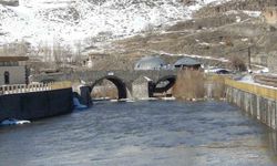 Kars Çayı'nda erken bahar: Zemheri beklenirken buzlar çözüldü