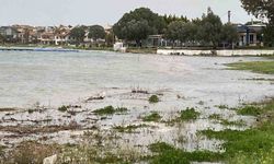 Kuvvetli lodos Ayvalık'ı vurdu