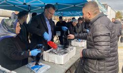 Manisa'da belediyenin ikramı 8 ton hamsi 1 saatte tükendi