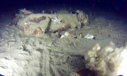 Marmara Denizi'ne 51 yıl önce düşen THY uçağına ait yeni izler bulundu