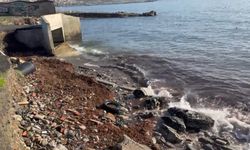 Marmara'daki fırtına Tekirdağ kıyılarını kızıl yosunla sürükledi