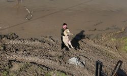 Meriç Nehri taştı; hayvanlar tahliye edildi, çiftçi malını kurtardı