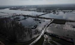 Meriç Nehri taştı, tarım arazileri ve yerleşim alanları sular altında kaldı