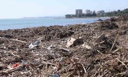 Mersin sahillerinde selin denize taşıdığı balçıklar temizleniyor