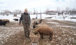Muş'ta kış ve bahar aynı anda yaşanıyor