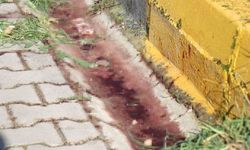 Önce eşini sonra kendini vurmuştu, defin tarihleri belli oldu