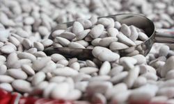 Ramazan soflarının vazgeçilmezi 'Badem Şekerine' yoğun talep