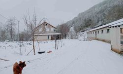 Sakarya'da yüksek kesimlerde kar, şehir merkezinde yağmur etkili oldu