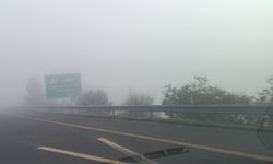 Şanlıurfa-Gaziantep yolunda yoğun sis etkili oldu