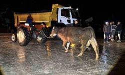Seydikemer'de su baskını: Evler tahliye edildi