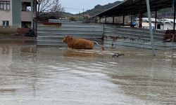 Şiddetli yağışlar Kula'da taşkınlara yol açtı