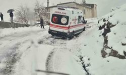 Siirt kar yağışı nedeniyle yolda kalan hastalar ve vatandaşlar kurtarıldı