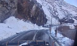 Şırnak yoluna çığ düştü, karla kaplı yollar açıldı