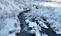 Şırnak'ta beyaza bürünen dağ ve ağaçlar göz kamaştırdı