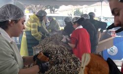 Soğuğa aldırış etmeyen vatandaşlar Balık Festivali'ne koştu