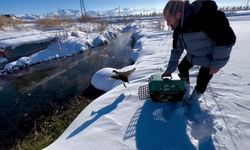 Soğuk hayata mola verdirdi