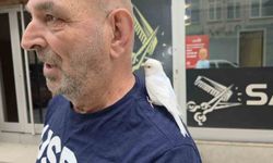 Sokaklarda omzundaki kuşuyla geziyor